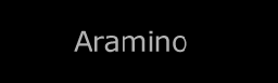 Aramino entrepreneur