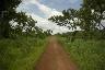Bénin Pendjari