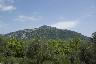 Vue de colline et des oliviers